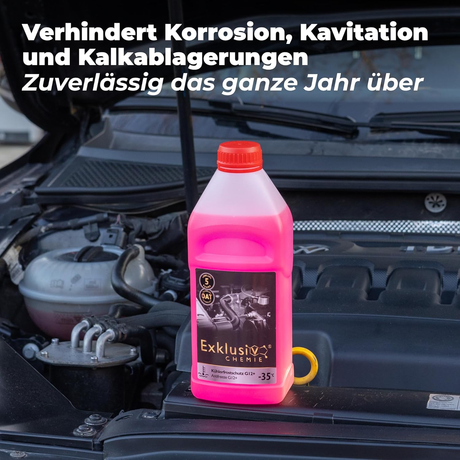 Kühlerfrostschutz G12+ | 1 Liter