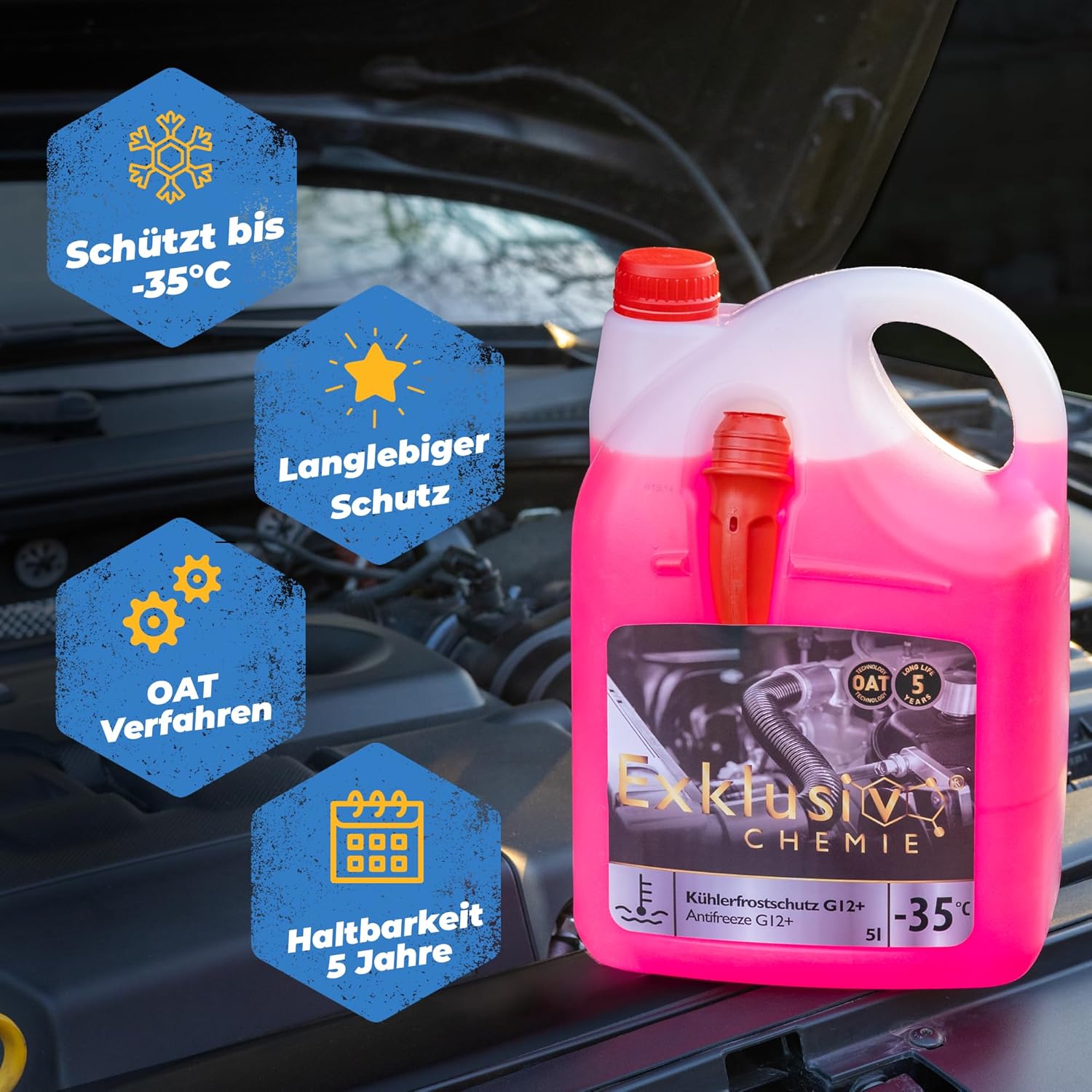 Kühlerfrostschutz G12+ | 5 Liter