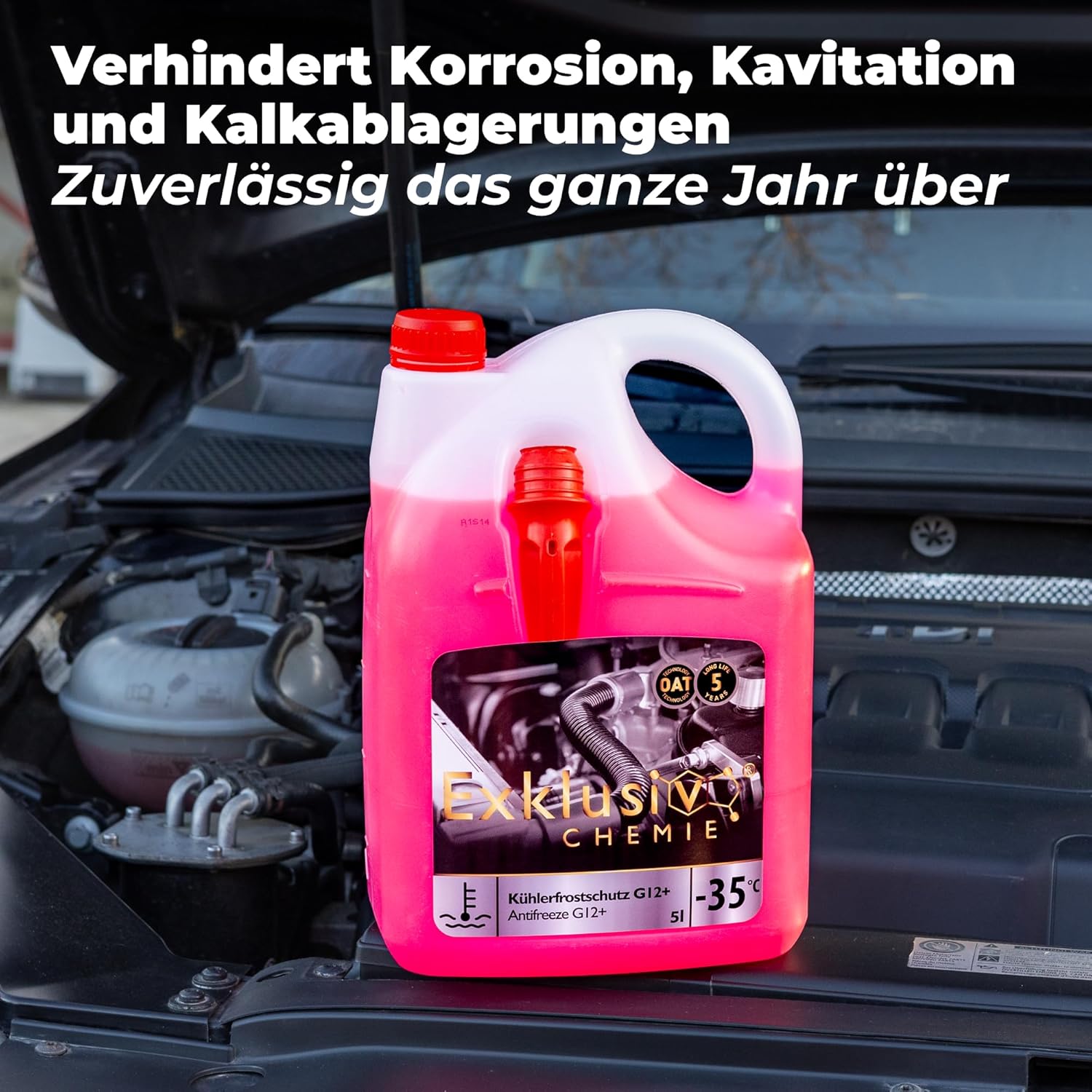 Kühlerfrostschutz G12+ | 5 Liter