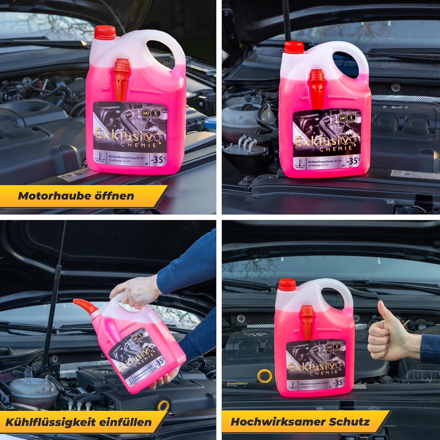 Kühlerfrostschutz G12+ | 5 Liter